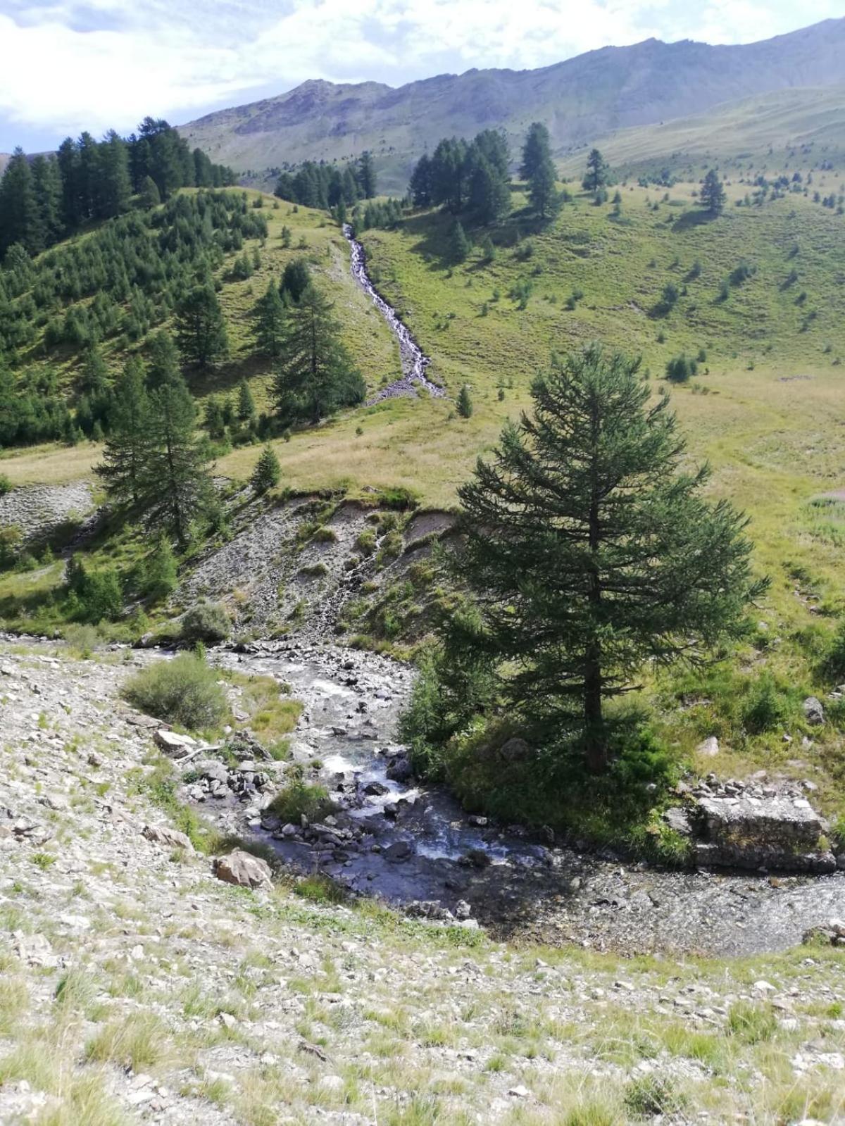 App Vue Montagne Barcelonnette Proche Piscine Rando Riviere Nature Экстерьер фото